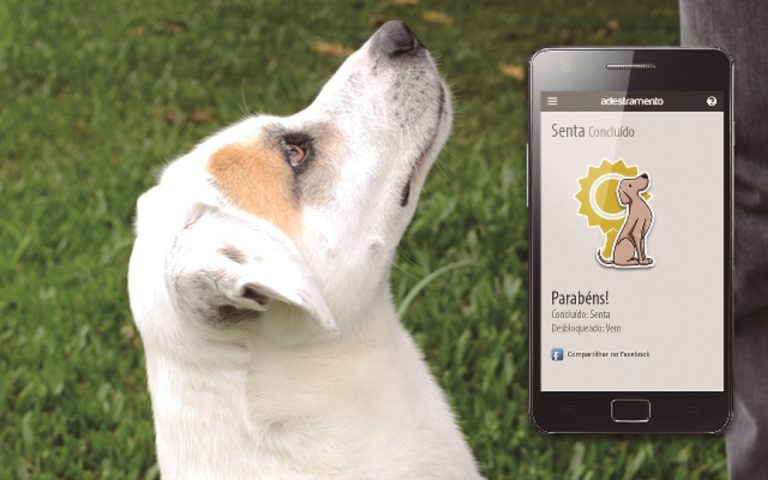 5 Best Dog Training Apps